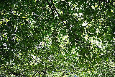 经典ARPG《秦殇》Steam版发售 优惠价29.6元