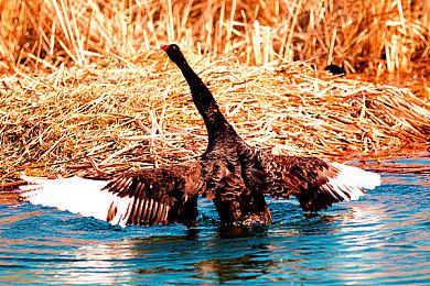 三国战场千机变  《三军传说》用4招让你爱上策略卡牌游戏