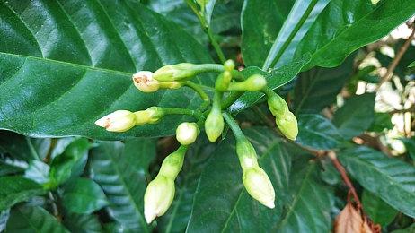 《炙热的岛国生活》Steam页面上线 支持中文