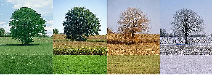 《漫威蜘蛛侠2》非官方PC版Mod 让玛丽简漂亮并果体